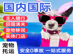 沈阳桃仙机场快递国际宠物托运 【国